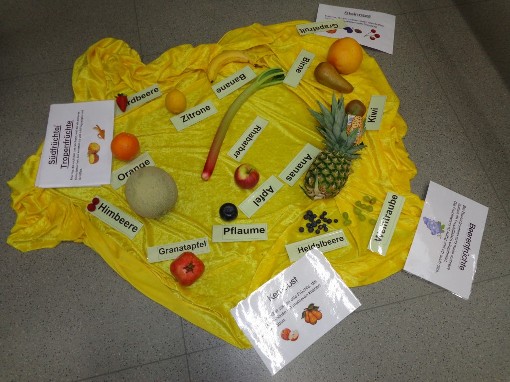 Unsere Projektwoche zum Thema &quot;Natur&quot; und die